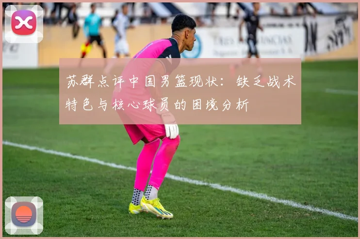 苏群点评中国男篮现状：缺乏战术特色与核心球员的困境分析