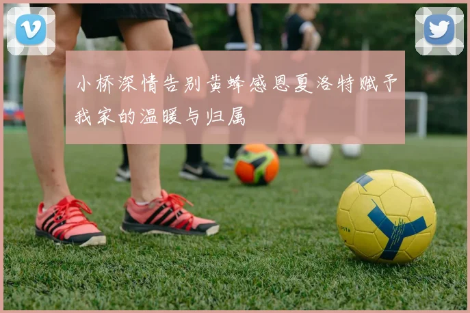 小桥深情告别黄蜂感恩夏洛特赋予我家的温暖与归属